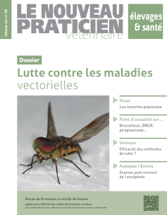 Bon de commande des anciens numéros sur la même thématique (PDF)