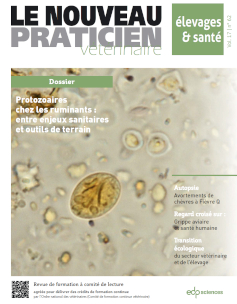 Bon de commande des anciens numéros sur la même thématique (PDF)