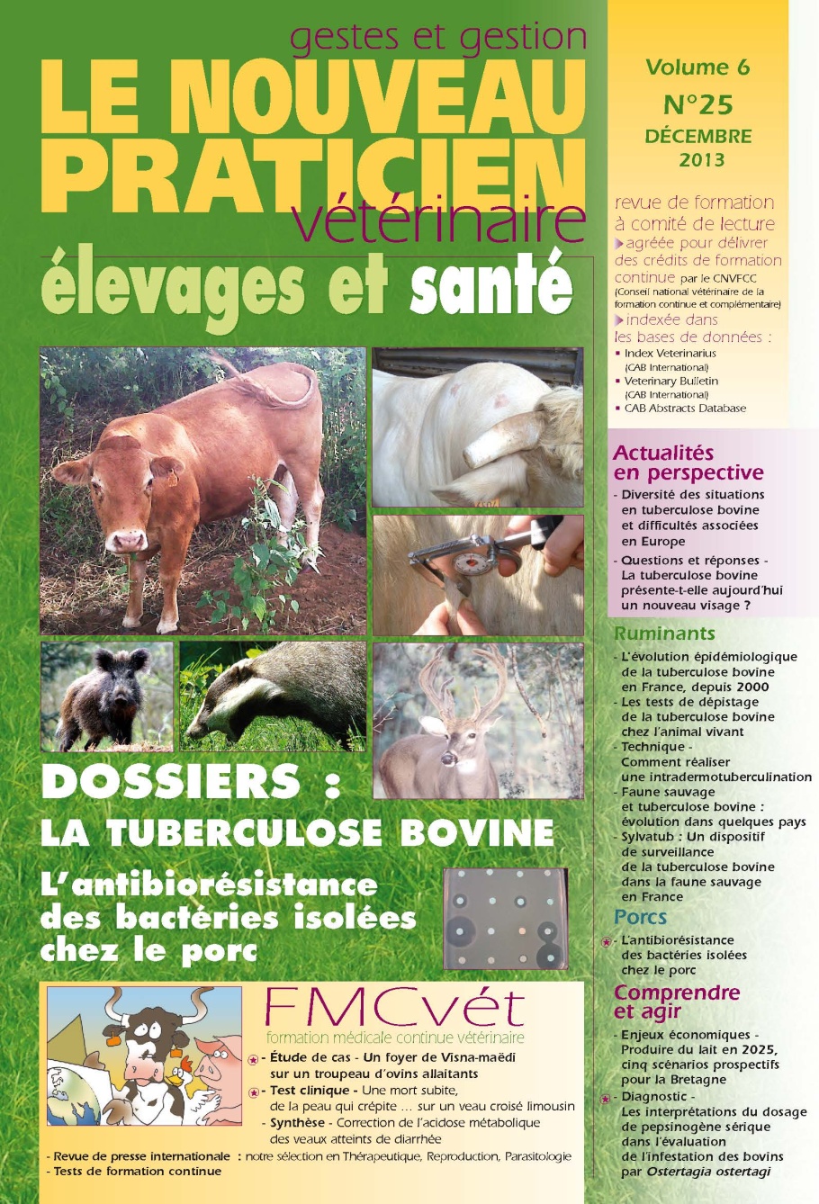 Le Nouveau Praticien Vétérinaire élevages & santé - Vol. 6 / 25  - 2013 - La tuberculose bovine